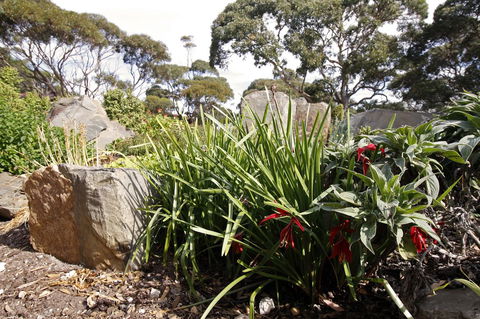 Cape Jervis Holiday Units - Accommodation Australia 6