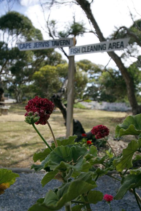 Cape Jervis Holiday Units - Accommodation Australia 13