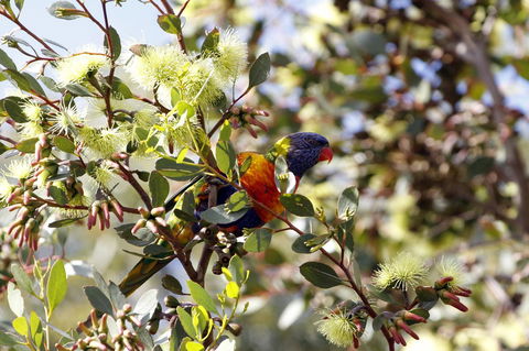 Cape Jervis Holiday Units - Accommodation Australia 11