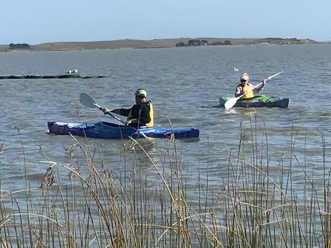 Hydeaway Bay - Own Private Bay + Kayaks - Accommodation Australia 30