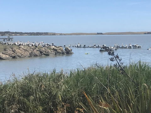 Hydeaway Bay - Own Private Bay + Kayaks - Accommodation Australia 34
