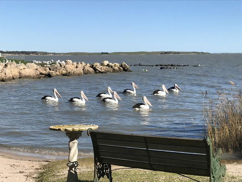 Hydeaway Bay - Own Private Bay + Kayaks - Accommodation Australia 18