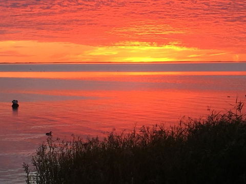 Hydeaway Bay - Own Private Bay + Kayaks - Accommodation Australia 37