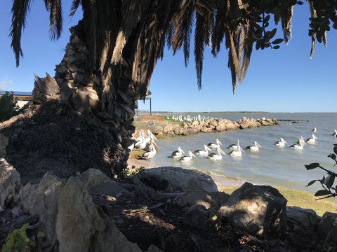 Hydeaway Bay - Own Private Bay + Kayaks - Accommodation Australia 17
