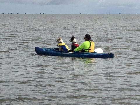 Hydeaway Bay - Own Private Bay + Kayaks - Accommodation Australia 31