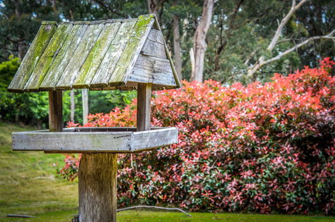 Ghost Hill Road Retreat - Accommodation Australia 17