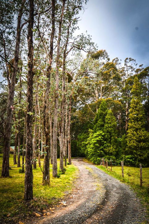 Ghost Hill Road Retreat - Accommodation Australia 14