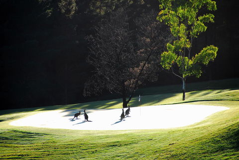 SkyView Villa - Local Tourism 3