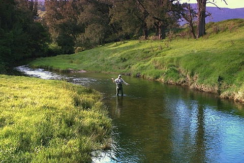 SkyView Villa - Local Tourism 17