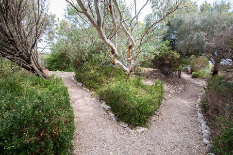 Coorong Waterfront Retreat - Local Tourism 19