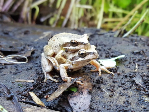 Coorong Waterfront Retreat - Local Tourism 30