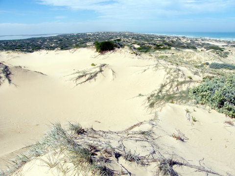 Coorong Waterfront Retreat - Local Tourism 32