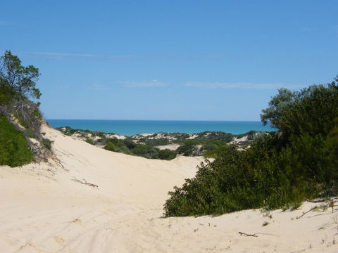 Coorong Waterfront Retreat - Local Tourism 23