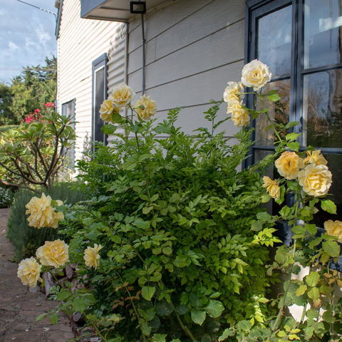 Haven Cottage Kangaroo Island - Accommodation Australia 1