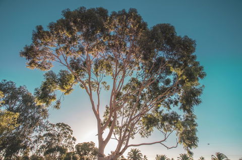 Seppelts View Cabins - Accommodation Australia 24