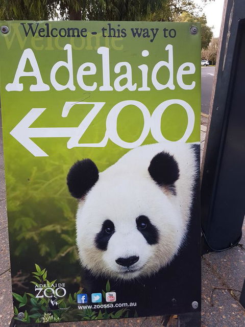 Adelaide Style Accommodation-Close To City-North Adelaide-3 Bdrm- FREE Parking - Accommodation Australia 35