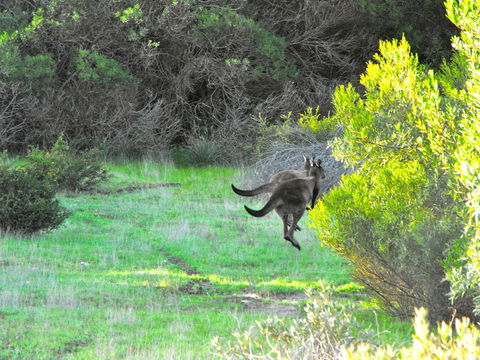 A Dune Escape - Accommodation Australia 25