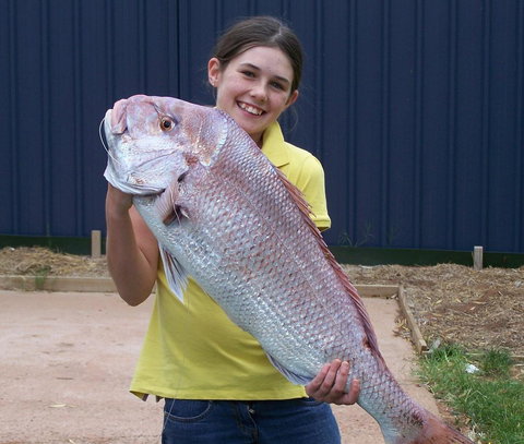 Discovery Parks - Whyalla Foreshore - Accommodation Australia 17