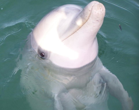 Discovery Parks - Whyalla Foreshore - Accommodation Australia 18