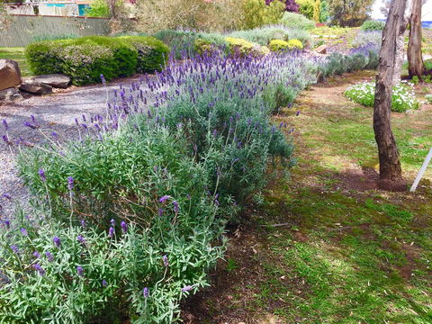 Barossa Retro BnB - Accommodation Australia 23
