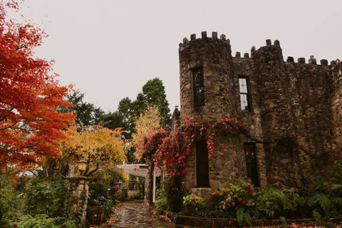 The Manor Basket Range - Local Tourism 15