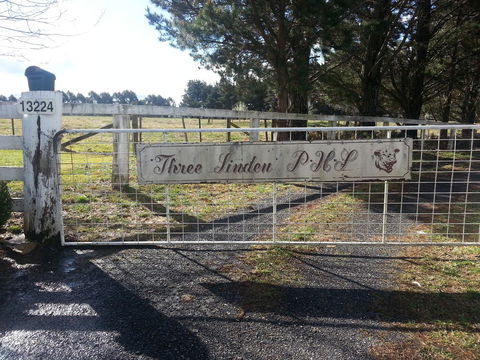 Three Linden - Accommodation Australia 6