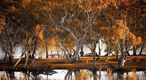 Riverview Rise Retreats - Australia Shopping 4