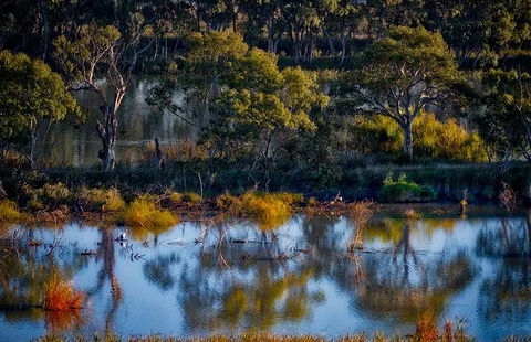 Riverview Rise Retreats - Australia Shopping 7