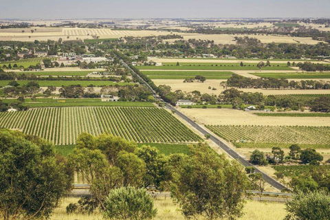 Angaston House - Accommodation Australia 18