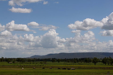 Isis Motel Scone - Australia Shopping 5