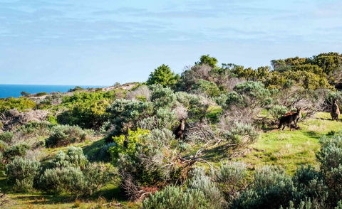 Admirals Inn - Accommodation Australia 36