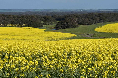 Admirals Inn - Accommodation Australia 41