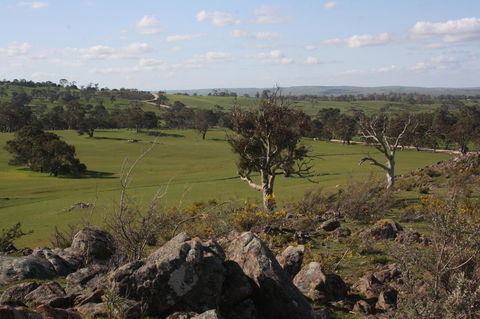 Rabbiters Hut - Local Tourism 28