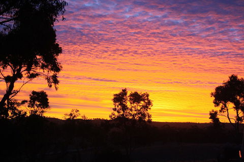 Rabbiters Hut - Local Tourism 33