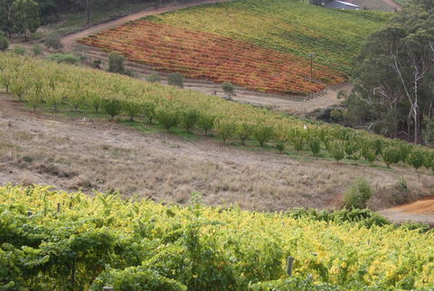 Rabbiters Hut - Local Tourism 25
