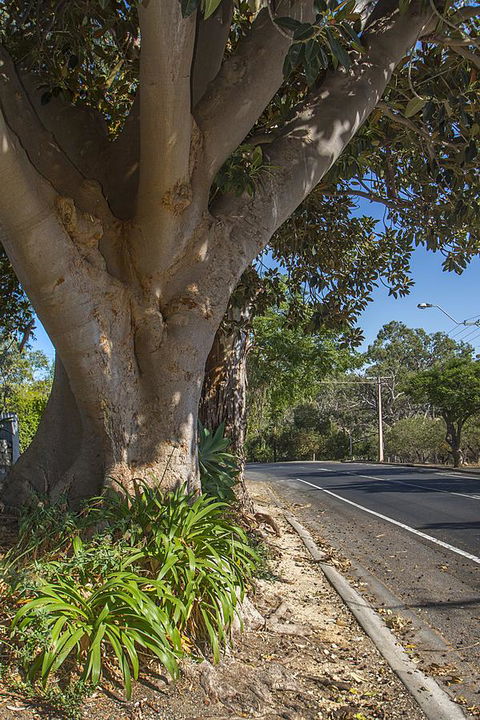 Stoneleigh Cottage Bed And Breakfast - Accommodation Australia 25