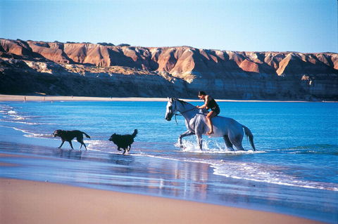 Lavina Luxury Beach House - Accommodation Australia 25