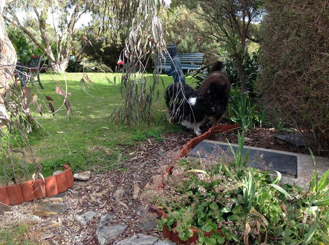 Casuarina Coastal Units - Accommodation Australia 29