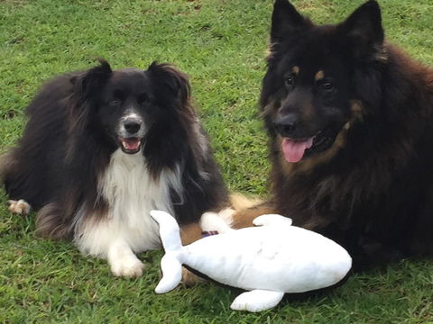 Casuarina Coastal Units - Accommodation Australia 30