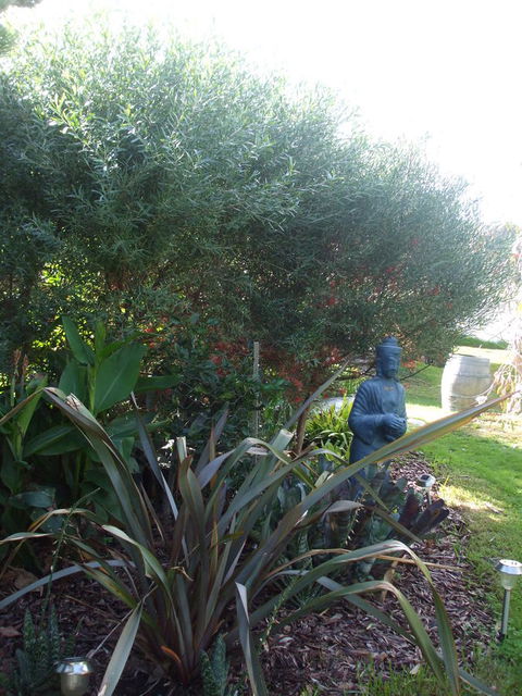 Casuarina Coastal Units - Accommodation Australia 16