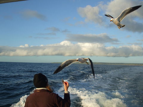 Casuarina Coastal Units - Accommodation Australia 25