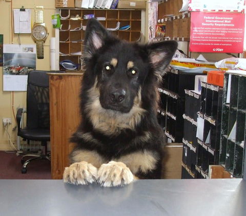 Casuarina Coastal Units - Accommodation Australia 15