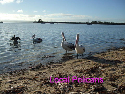 Casuarina Coastal Units - Accommodation Australia 23