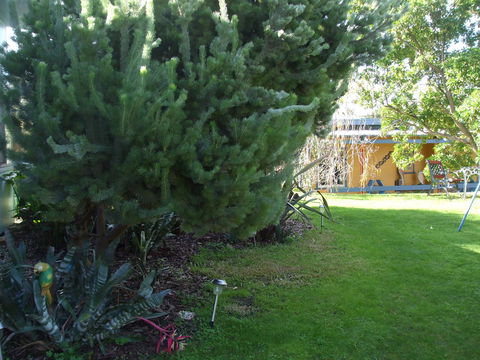 Casuarina Coastal Units - Accommodation Australia 21