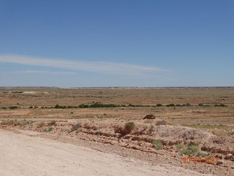 Di's Place - Accommodation Australia 21