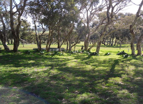 Wenton Farm Holiday Cottages - Accommodation Australia 1