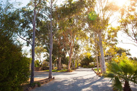 Modra\'s Apartments - Accommodation Australia 0