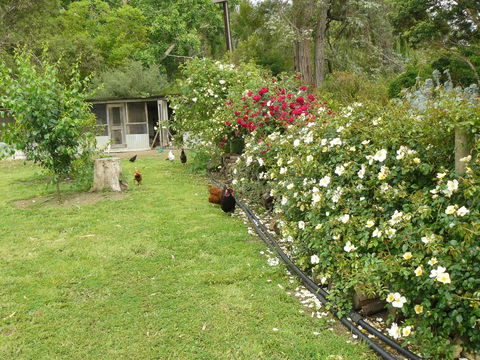 Camawald Coonawarra Cottage B&B - Accommodation Australia 3