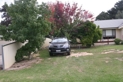 Owl Place In Hahndorf - Local Tourism 5