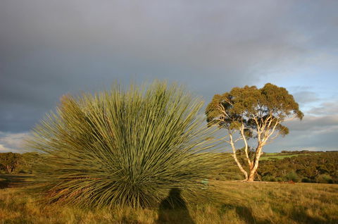 Ecopia Retreat - Accommodation Australia 23